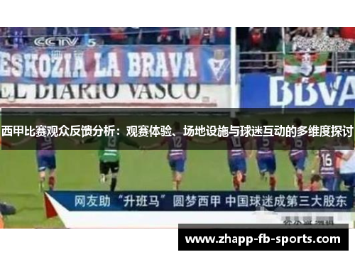 西甲比赛观众反馈分析：观赛体验、场地设施与球迷互动的多维度探讨